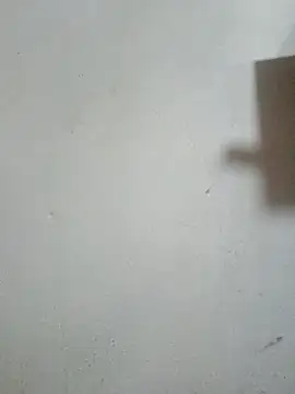 Josenav44 online show from 02.04.26