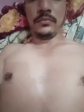 indoregigolo online show from 11.14.25