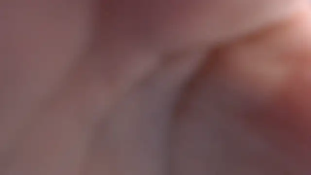 velvetvixen t online show from 01.16.26