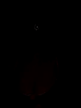 Snapshot of Mampykolkata chatting on 11.15.25 Mampykolkata online show from 11.15.25