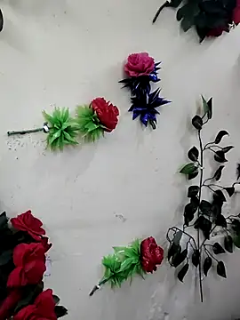 Snapshot of Indian-Glory chatting on 12.13.25 Indian-Glory online show from 12.13.25