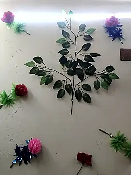 Snapshot of Indian-Glory chatting on 01.14.26 Indian-Glory online show from 01.14.26