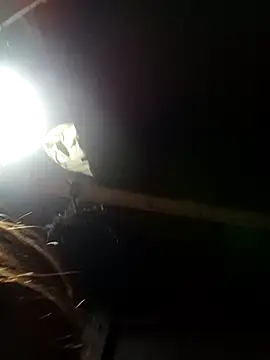 Snapshot of bella-la chatting on 02.09.26 bella-la online show from 02.09.26