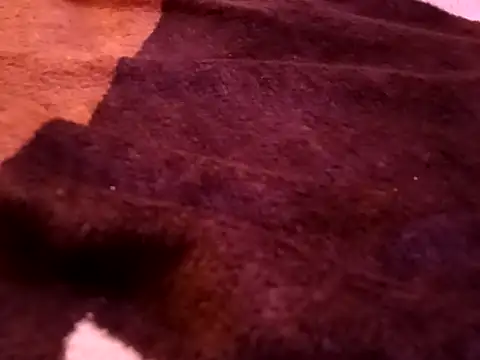 bigtelugubhama online show from 02.07.26