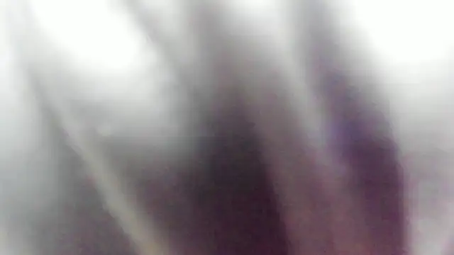 Snapshot of wild_best chatting on 02.16.26 wild best online show from 02.16.26