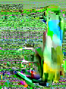 cchairez1188 online show from 10.29.25