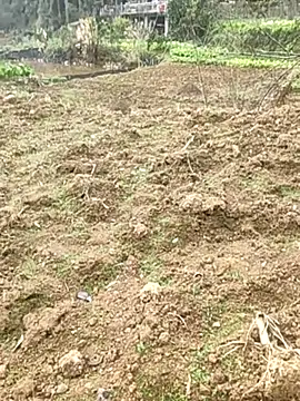 Snapshot of tian7788 chatting on 02.17.26 tian7788 online show from 02.17.26