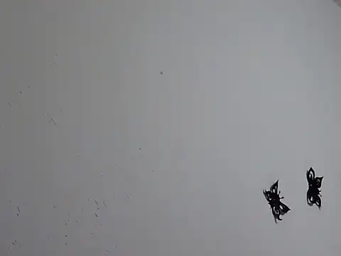 Morticia Black online show from 01.18.26