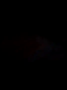 Snapshot of Pallu_Asha chatting on 02.18.26 Pallu Asha online show from 02.18.26