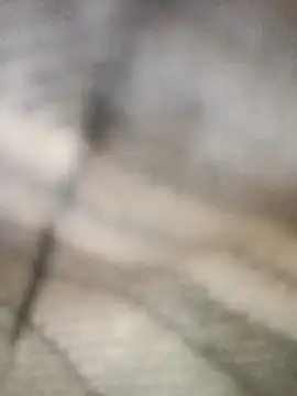 Snapshot of Pallu_Asha chatting on 03.01.26 Pallu Asha online show from 03.01.26