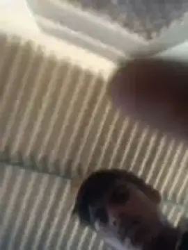 Snapshot of Pallu_Asha chatting on 03.02.26 Pallu Asha online show from 03.02.26