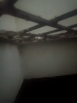 Pallu Asha online show from 03.15.26