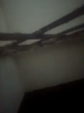 Pallu Asha online show from 04.28.26