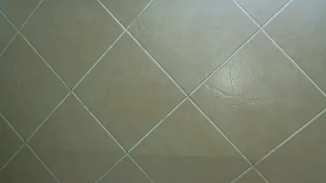 Snapshot of NewBeginnings8 chatting on 12.15.25 NewBeginnings8 online show from 12.15.25