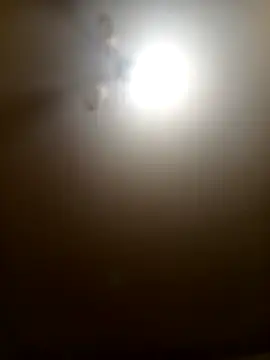 Niesmialyy online show from 02.16.26