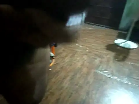 Snapshot of BdTinyDick chatting on 11.11.25 BdTinyDick online show from 11.11.25