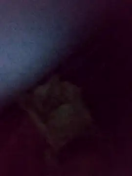 Drian1010 online show from 11.04.25