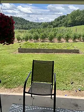 thickfarmtwat online show from 06.20.26