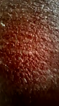 CEEKAYPRO online show from 03.15.26