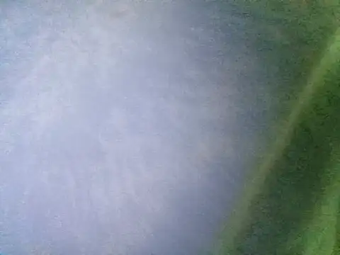 Ramzes1992Analog online show from 11.05.25