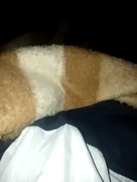 Azo3zgju online show from 11.23.25