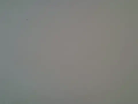 ChesterBrianna online show from 11.07.25