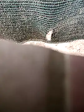 Snapshot of 0281nosyehj chatting on 02.14.26 0281nosyehj online show from 02.14.26