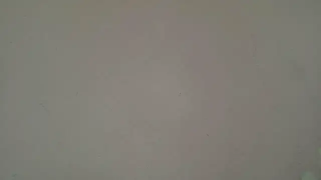 HornyElena online show from 07.20.26