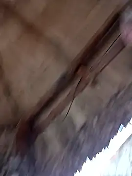 Snapshot of prototipoA45 chatting on 01.13.26 prototipoA45 online show from 01.13.26