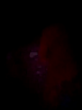 Snapshot of jacka_305 chatting on 11.22.25 jacka 305 online show from 11.22.25