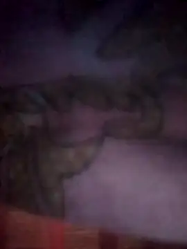 Snapshot of jacka_305 chatting on 11.26.25 jacka 305 online show from 11.26.25