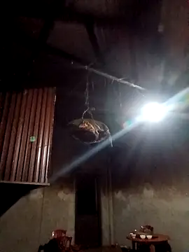 Snapshot of blonde_blg chatting on 02.12.26 blonde blg online show from 02.12.26