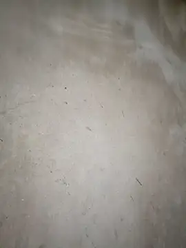 Snapshot of blonde_blg chatting on 03.14.26 blonde blg online show from 03.14.26