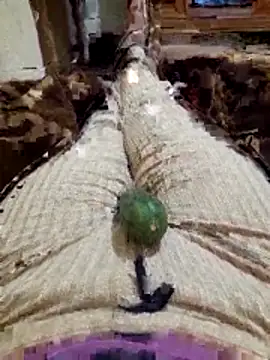 Tota sexi online show from 11.27.25