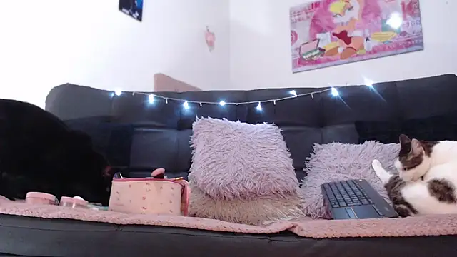 valery carter01 online show from 02.17.26