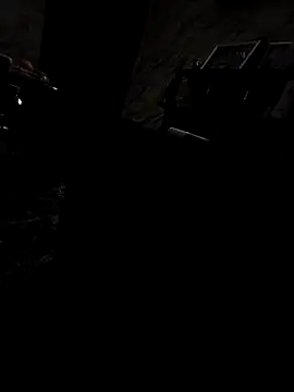 arcacsel online show from 11.17.25