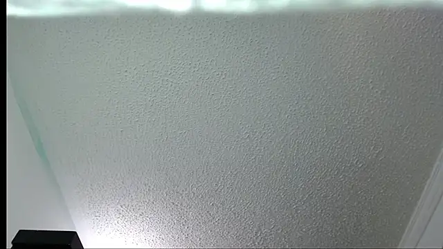 Snapshot of Little-rouse chatting on 11.30.25 Little-rouse online show from 11.30.25