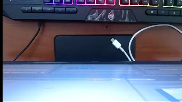 Snapshot of Little-rouse chatting on 12.13.25 Little-rouse online show from 12.13.25