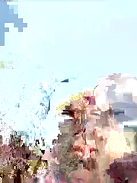 Snapshot of Nelug chatting on 12.17.25 Nelug online show from 12.17.25