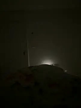 Snapshot of Lancer350 chatting on 11.28.25 Lancer350 online show from 11.28.25