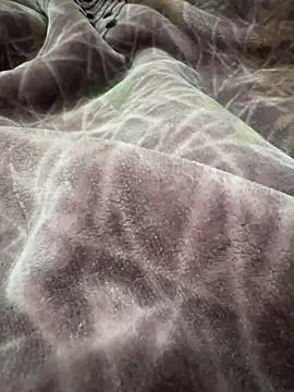 Afganiboy online show from 02.04.26