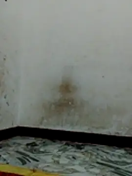 Snapshot of Bigg_bhabi chatting on 01.31.26 Bigg bhabi online show from 01.31.26