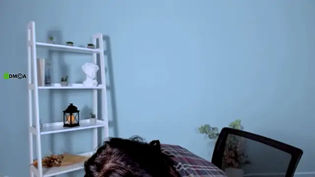 Snapshot of lika_pop chatting on 01.17.26 lika pop online show from 01.17.26