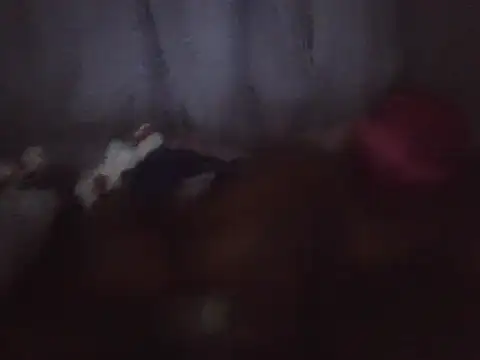 Snapshot of blackdickjeckmmm chatting on 12.04.25 blackdickjeckmmm online show from 12.04.25