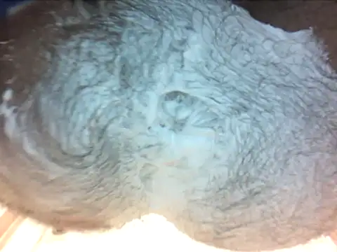 holy1996 online show from 03.27.26