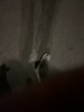 Pumxxxx online show from 11.30.25