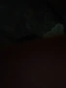 vebvs online show from 03.02.26