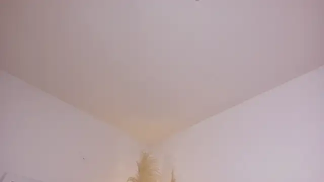 Snapshot of am_berr chatting on 12.13.25 am berr online show from 12.13.25