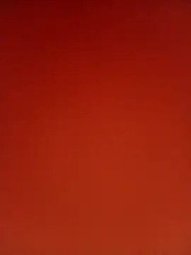 Snapshot of Rt_kinjal chatting on 11.20.25 Rt kinjal online show from 11.20.25