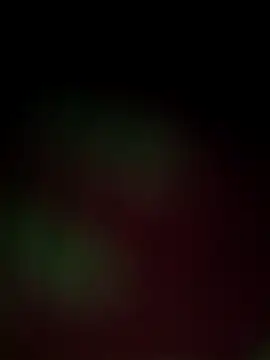 Nandani-758 online show from 12.18.25